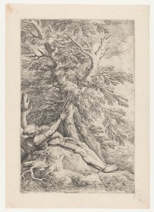 Svatý Vilém z Malevalu od Salvator Rosa