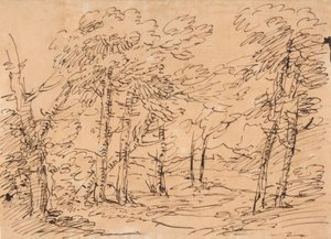 Krajina se stromy a horami v pozadí od Salvator Rosa
