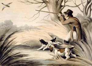 Shooting Duck, rytina H. Merke, kolem 1809 (barevné lito)