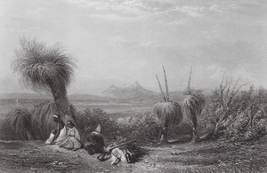 Austrálie: Grass Tree Plains (rytina)