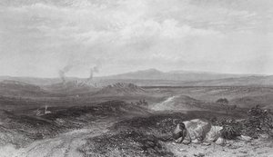 Austrálie: Pohled na Botany Bay (rytina) od Samuel (after) Prout