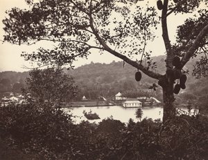 Pohled z Upper Lake Road ukazuje chrám a ostrov s parkem - ovocný strom v popředí