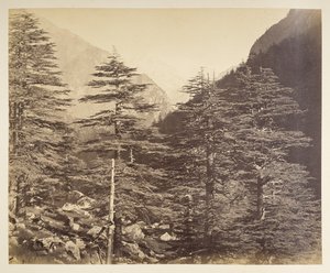Zasněžené vrcholky poblíž Gangootri z Bhairamghati. Fotograf: Bourne, Samuel Album fotografií Indie, především od Samuela Bourne1866