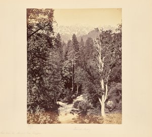  od Samuel Bourne