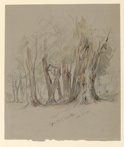 Cypřiše z Chapultepec, Mexiko od Samuel Colman