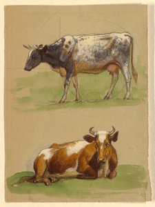 Kresba, Dobytek, kráčející kráva a kráva se krčí, 1875-80 od Samuel Colman