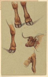 Kresba, Náčrtky z Narragensettu, Rhode Island., 1871 od Samuel Colman