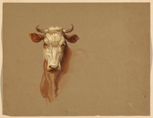 Kresba, Dvě studie.  Dobytek, 1876 od Samuel Colman