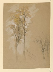 Oaks, Lady Wood Lane, Irvington od Samuel Colman