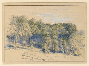 Studie Maple Grove, Greensboro, Vermont od Samuel Colman