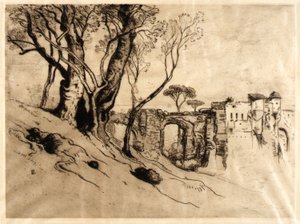 Olivovníky na Riviéře (z portfolia, Dvacet původních olivovníků) od Samuel Colman