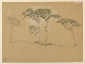 Naváté borovice, Pacific Grove. Verso: Silnice po pobřeží Tichého oceánu do Point Sur. od Samuel Colman