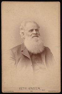 Portrét Setha Greena 1817-1888, 1886. od Samuel D Wardlaw