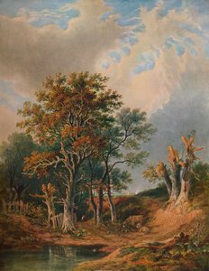 Krajina, 1847 od Samuel David Colkett