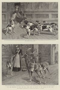 Žádáme vás, abyste nechali dveře haly zavřené kvůli zvířatům v parku (litho) od Samuel Edmund (after) Waller