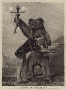 Medvědí trofej v Marlborough House od Samuel Edmund Waller