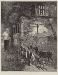 Strašidelný od Samuel Edmund Waller