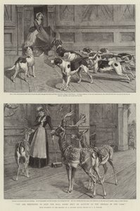 Žádáme vás, abyste kvůli zvířatům v parku nechali zavřené dveře od Samuel Edmund Waller