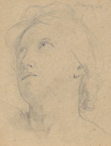 Studie k Soudu Jupitera (Marpessa, hlava) od Samuel Finley Breese Morse