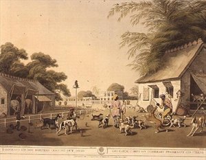 „Dooreahs aneb chovatelé psů vyvádějí psy“, z Oriental Field Sports od Samuela Howetta (1756-1822), pub. od Edwarda Orma od Samuel Howett