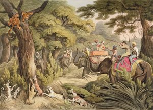 Shooting A Leopard, z Oriental Field Sports, pub. Edward Orme, 1807 (tisk)