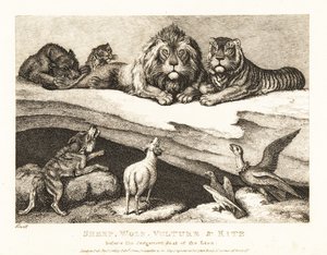 Soudní případ mezi zvířaty se lvem a tygrem jako soudci. 1811 (lept) od Samuel Howitt