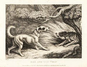 Bytový pes v obojku nabízí jídlo hladovějícímu vlkovi. 1811 (lept) od Samuel Howitt