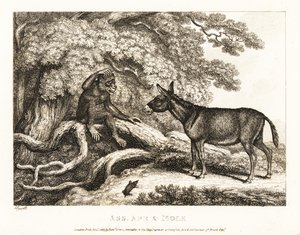 Opice a osel naříkají, dokud je krtek neumlčí. 1811 (lept)