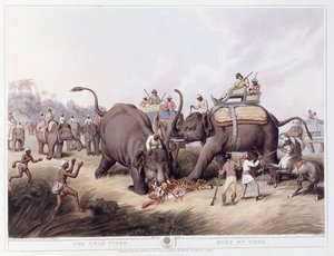 Mrtvý tygr; Smrt tygra, 1807