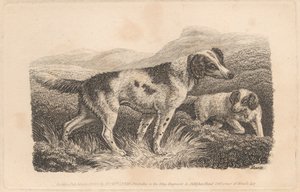 Dva psi od Samuel Howitt
