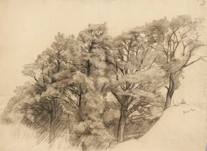 Krajina se stromy, 1884 (uhlí na leštěném papíře)