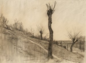 Pozdní zimní krajina, 1884 (uhlí na leštěném papíře)