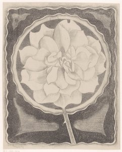 Roos od Samuel Jessurun de Mesquita (signed by artist)