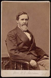 Portrét Hon. W.F. Morrison, mezi 1876 a 1880. od Samuel Montague Fassett