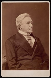 Portrét Josepha Henryho 1797-1878, prosinec 1875. od Samuel Montague Fassett