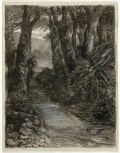 Studie lesa od Samuel Palmer