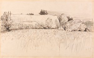 Kukuřičná pole se Stodolou, Shoreham od Samuel Palmer