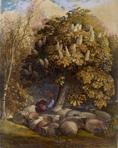 Pastýř s jírovcem, kolem 1830-31 (akvarel a tělová barva) od Samuel Palmer
