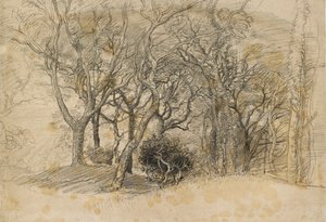 Studie stromů, Clovelly Park, 1834 od Samuel Palmer