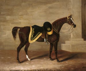 Kodaň, nabíječ vévody z Wellingtonu ve Waterloo