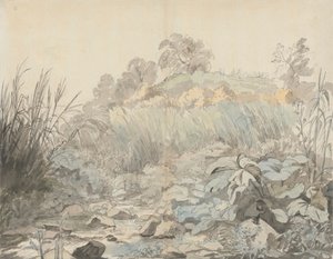 Rocky Stream