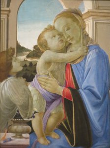 Botticelli Norton 115 od Sandro Botticelli