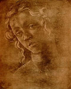 Ženská hlava od Sandro Botticelli