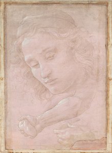 Hlava mládeže v čepici; pravé předloktí s rukou svírající kámen; a levá ruka držící závěs od Sandro Botticelli
