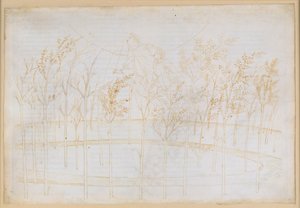 La Divina Commedia, Paradiso I: Výstup do nebe ohně. Beatrice vysvětluje Dantemu působící síly vesmíru od Sandro Botticelli