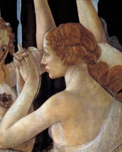 Jaro od Sandro Botticelli