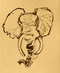 Skica afrického slona od Santhosh ch