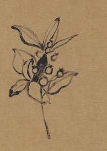 Botanická ilustrace v zemitých tónech od Santhosh ch