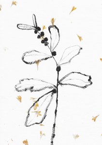 Minimalistická botanická skica od Santhosh ch