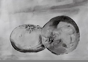 Monochromatické poloviny citrusů od Santhosh ch